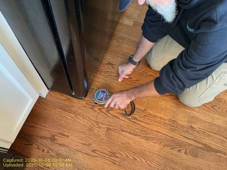 Pinpoint Moisture Mapping - Oak Hardwood - DriForce project photo