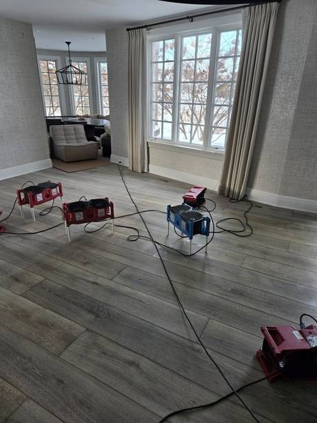 Residential Water Loss - Structural Drying Array - DriForce project photo