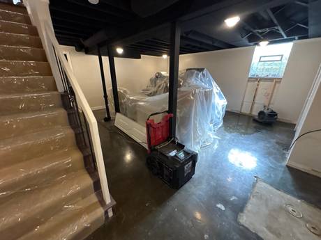 Basement Water Mitigation In Progress - DriForce project photo