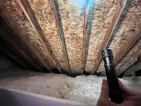 Attic After Mold Remediation & Reinsulation - DriForce project photo