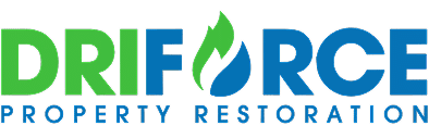 DriForce home