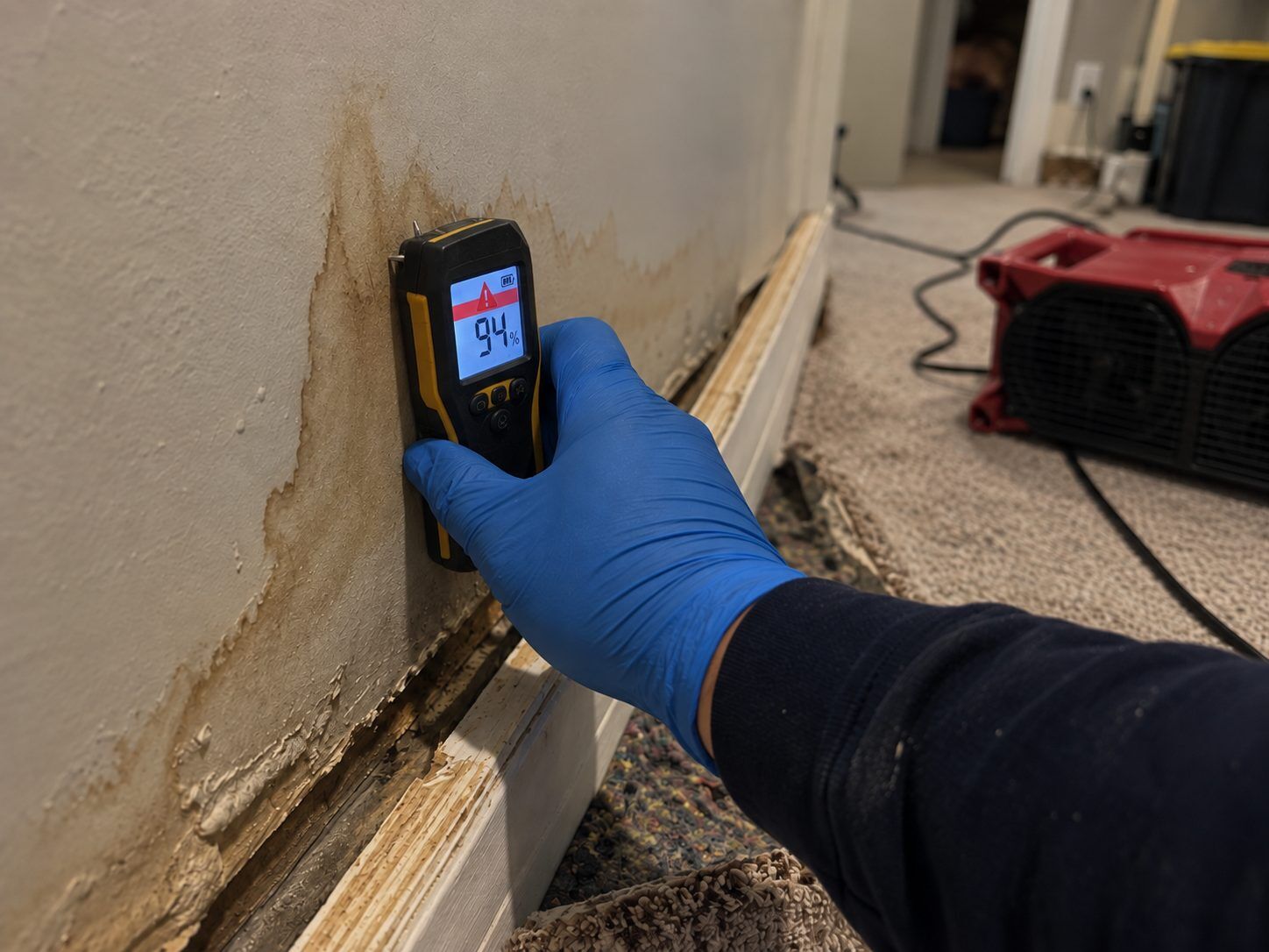 Technician holding a moisture meter reading against a water-damaged wall with an air mover running behind it