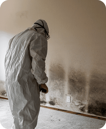Emergency Mold Remediation in Troy, MI