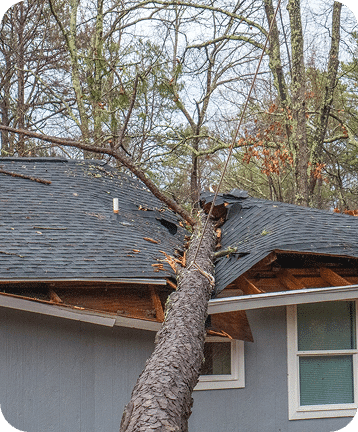 Storm Damage Restoration in Troy, MI