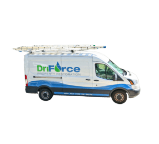 DriForce Property Restoration