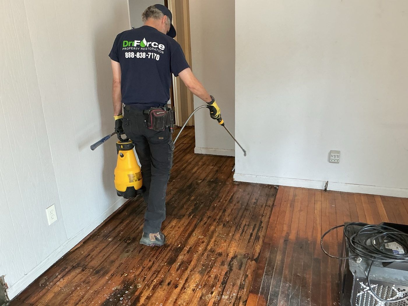 A uniformed DriForce Property Restoration technician applying antimicrobial treatment to hardwood floors on a Michigan job