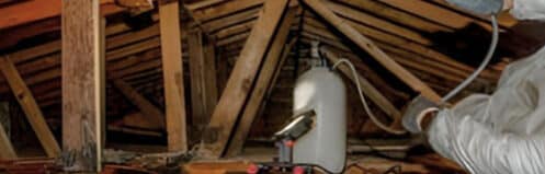 DriForce technician treating attic mold during professional remediation in Metro Detroit