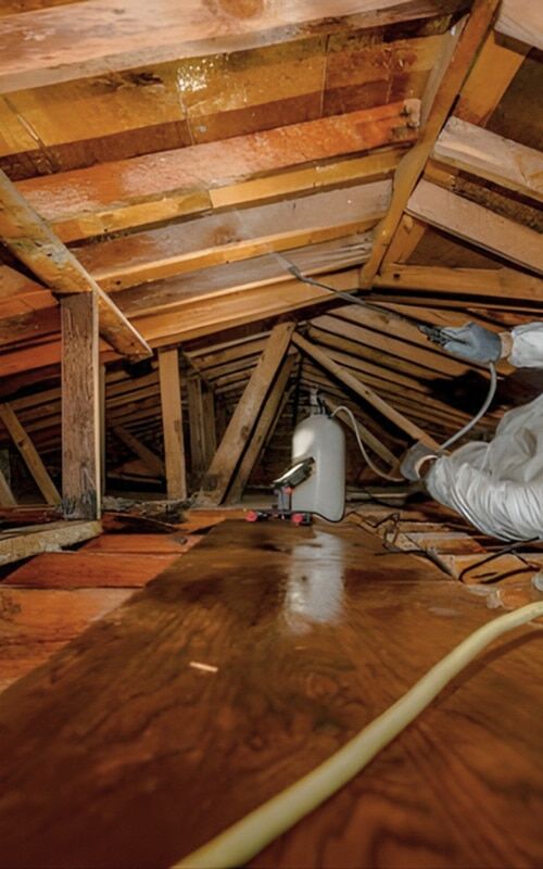 DriForce technician in full PPE applying antimicrobial treatment during attic mold removal in Michigan