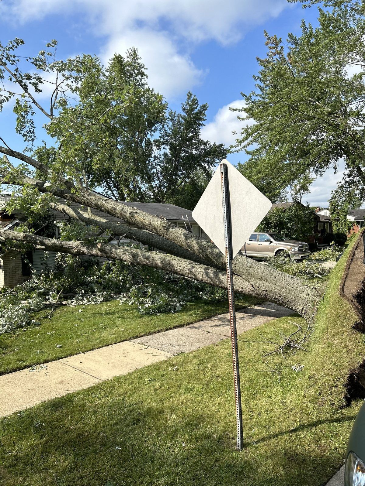 Storm-felled tree lying across the roof of a Metro Detroit ranch home with the DriForce truck on scene for emergency tree removal