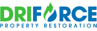 DriForce home