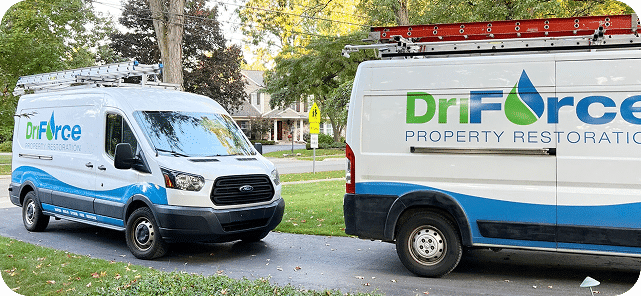 Driforce vans